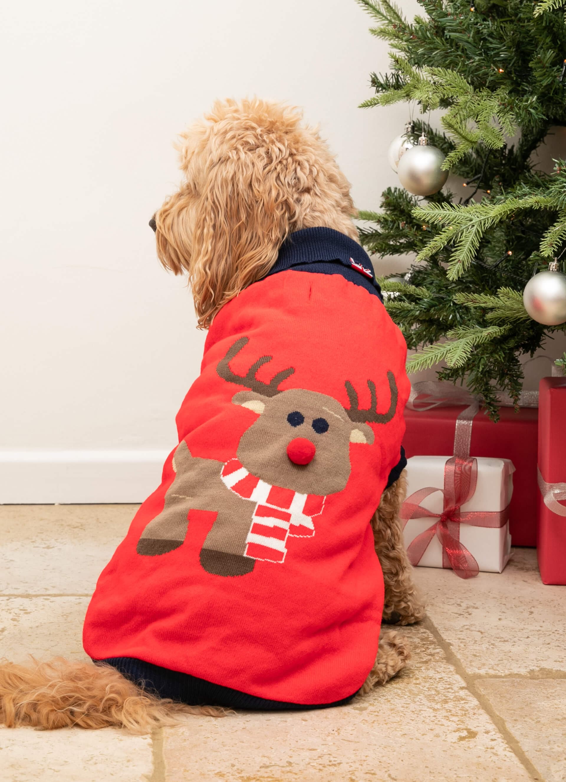 Christmas Dog Sweater - Reindeer