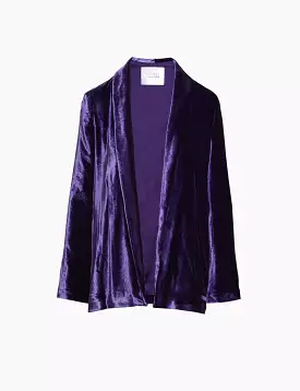 Velvet Julianne Blazer